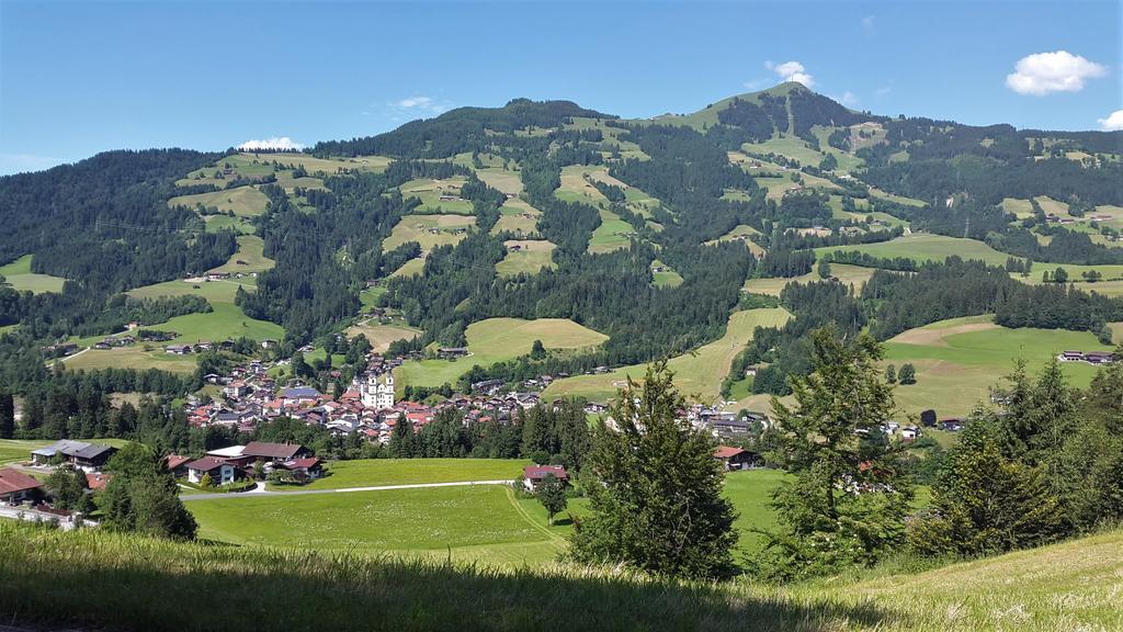 Landhaus Tirol 布里克森谷地霍普夫加尔滕 外观 照片